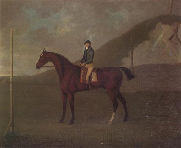 John Nost Sartorius 'Creeper' a Bay colt with Jockey up at the Starting post at the Running Gap in the Devils Ditch,Newmarket Germany oil painting art